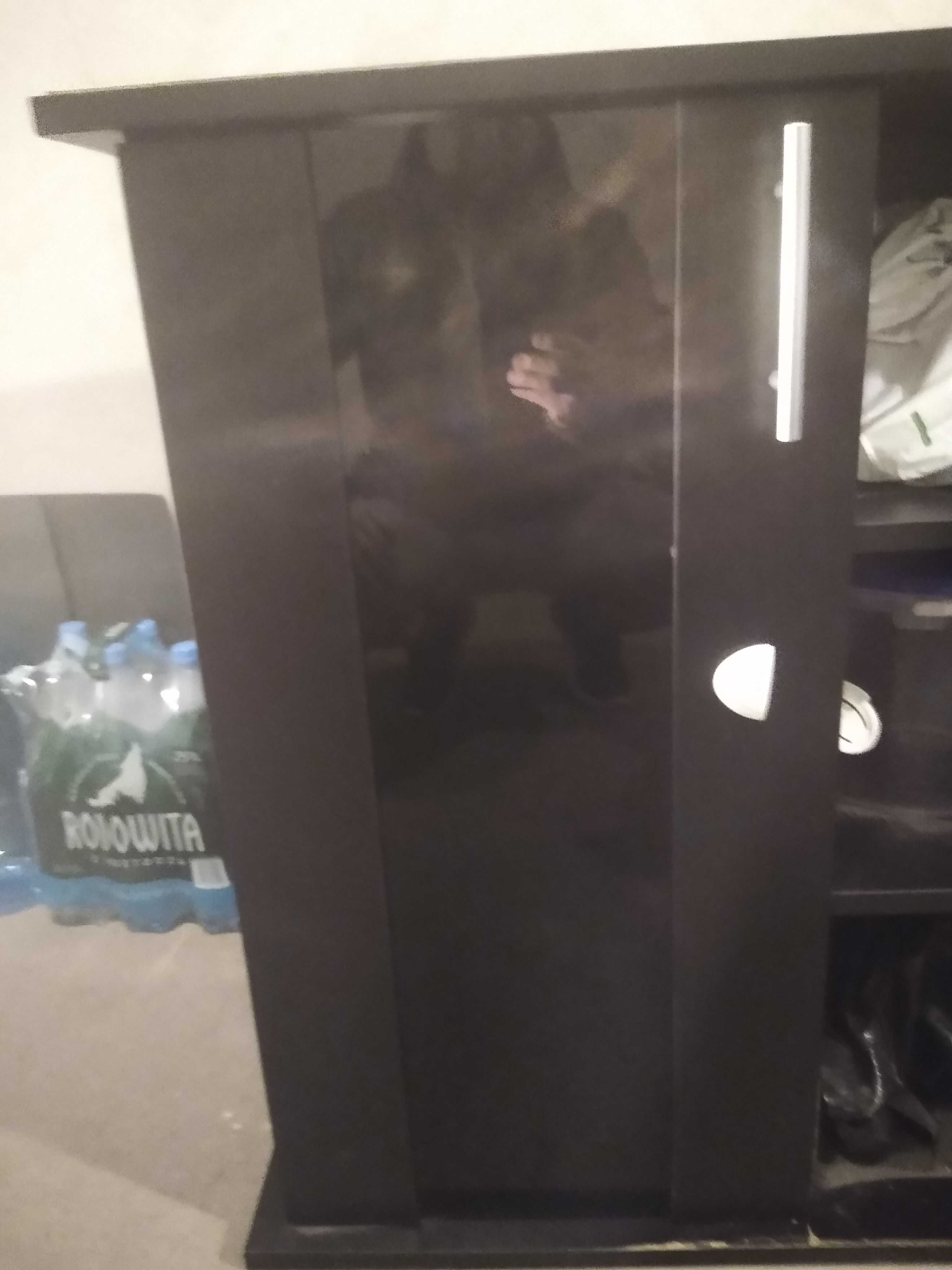 Szafka pod akwarium
