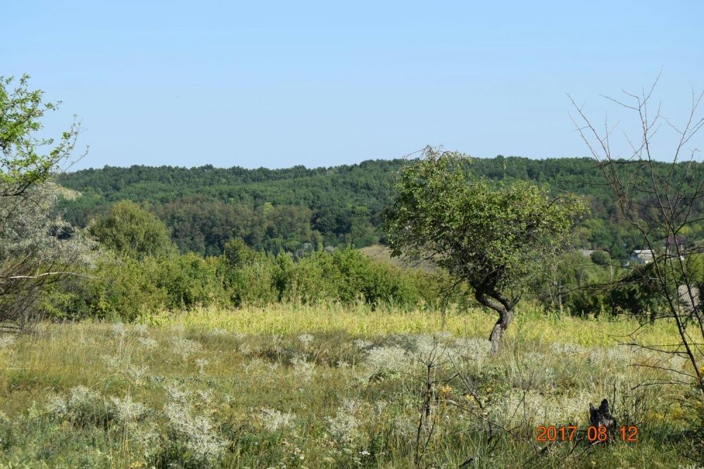 Продам земельну ділянку