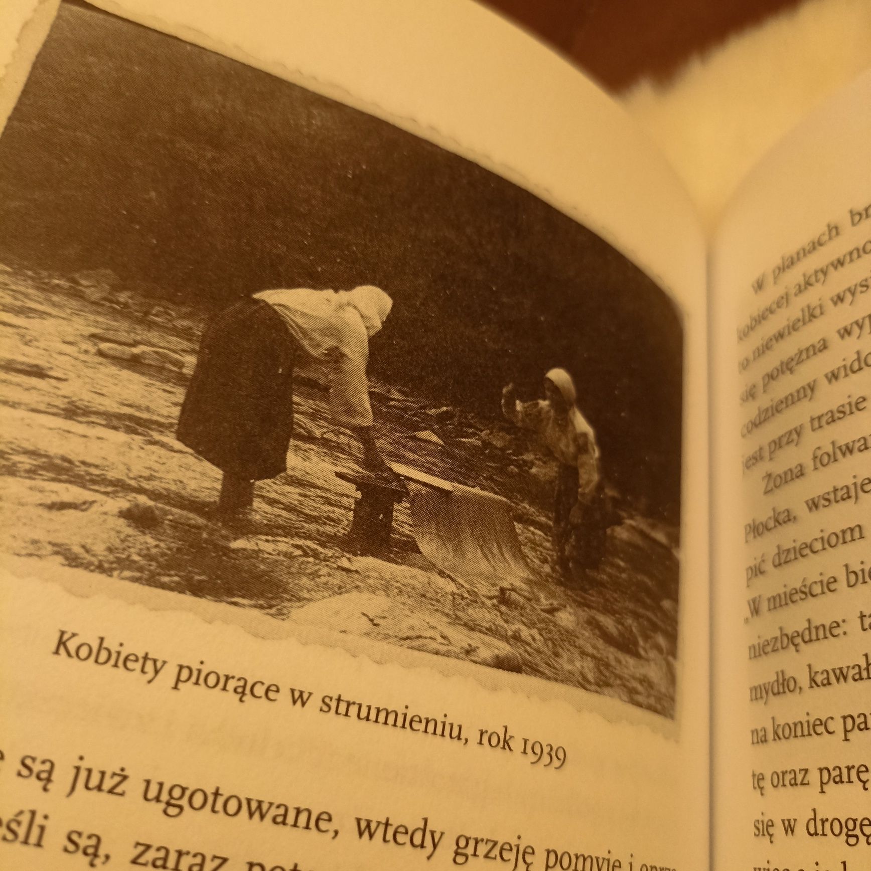 ,, Chłopki opowieść o naszych bankach " .