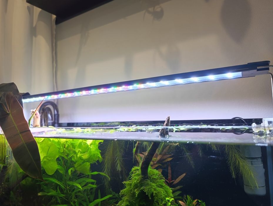 Lampa akwariowa 80cm.