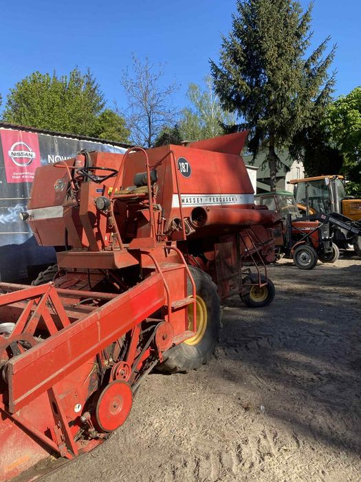 Massey Ferguson 187 w calosci lub na czesci!