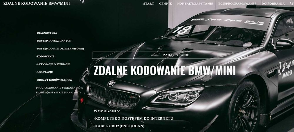 Kodowanie  BMW/MINI zdalnie/stacjonarnie_ktywacja_ukrytych_funkcji