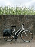 Bicicleta Bateria