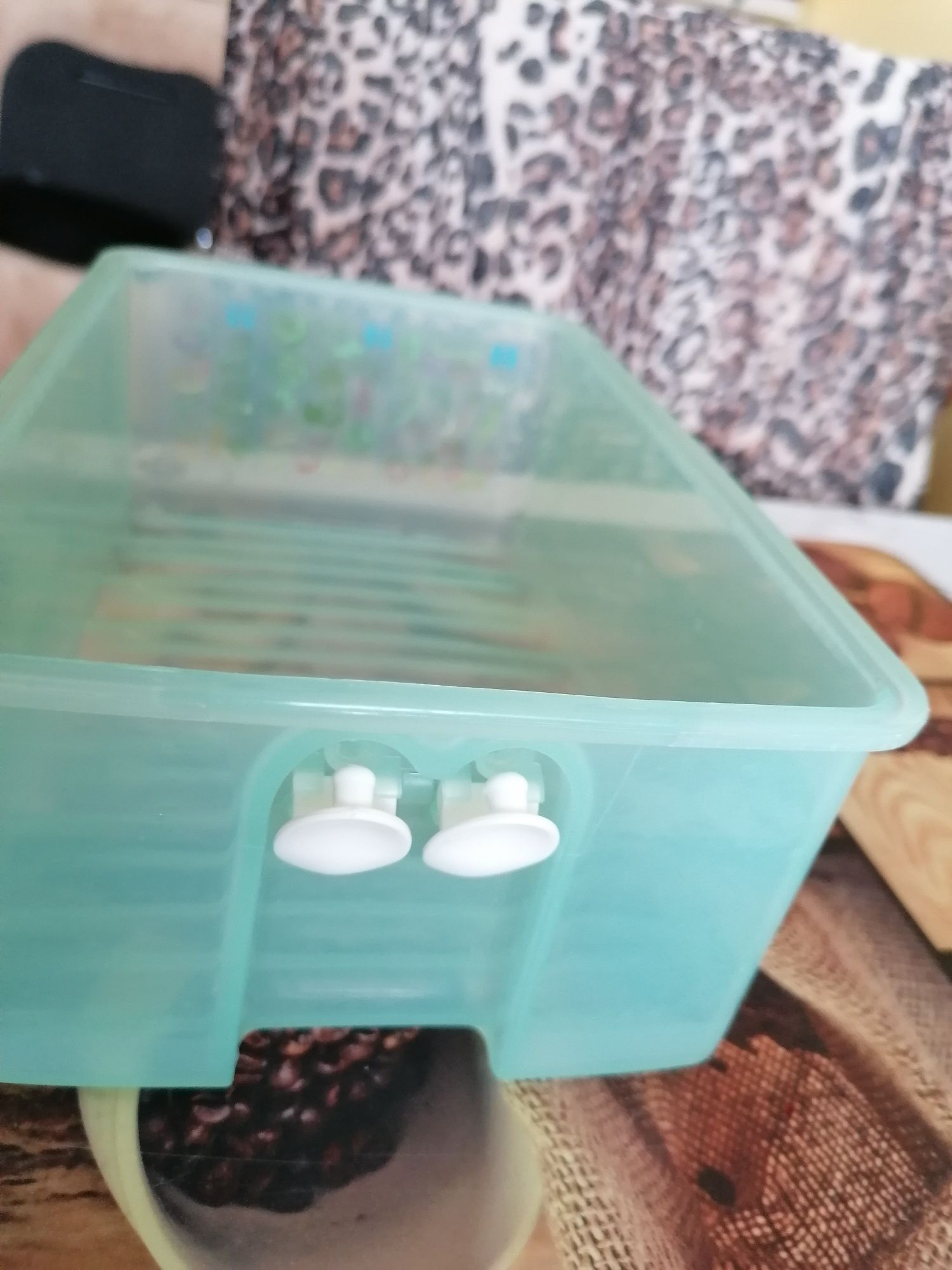 Pojemnik Tupperware szklarnia