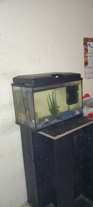 Aquario e maquina de aquecer agua