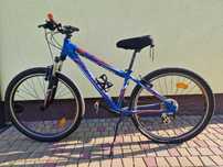 Rower Kross Hexagon X2 rama XS
