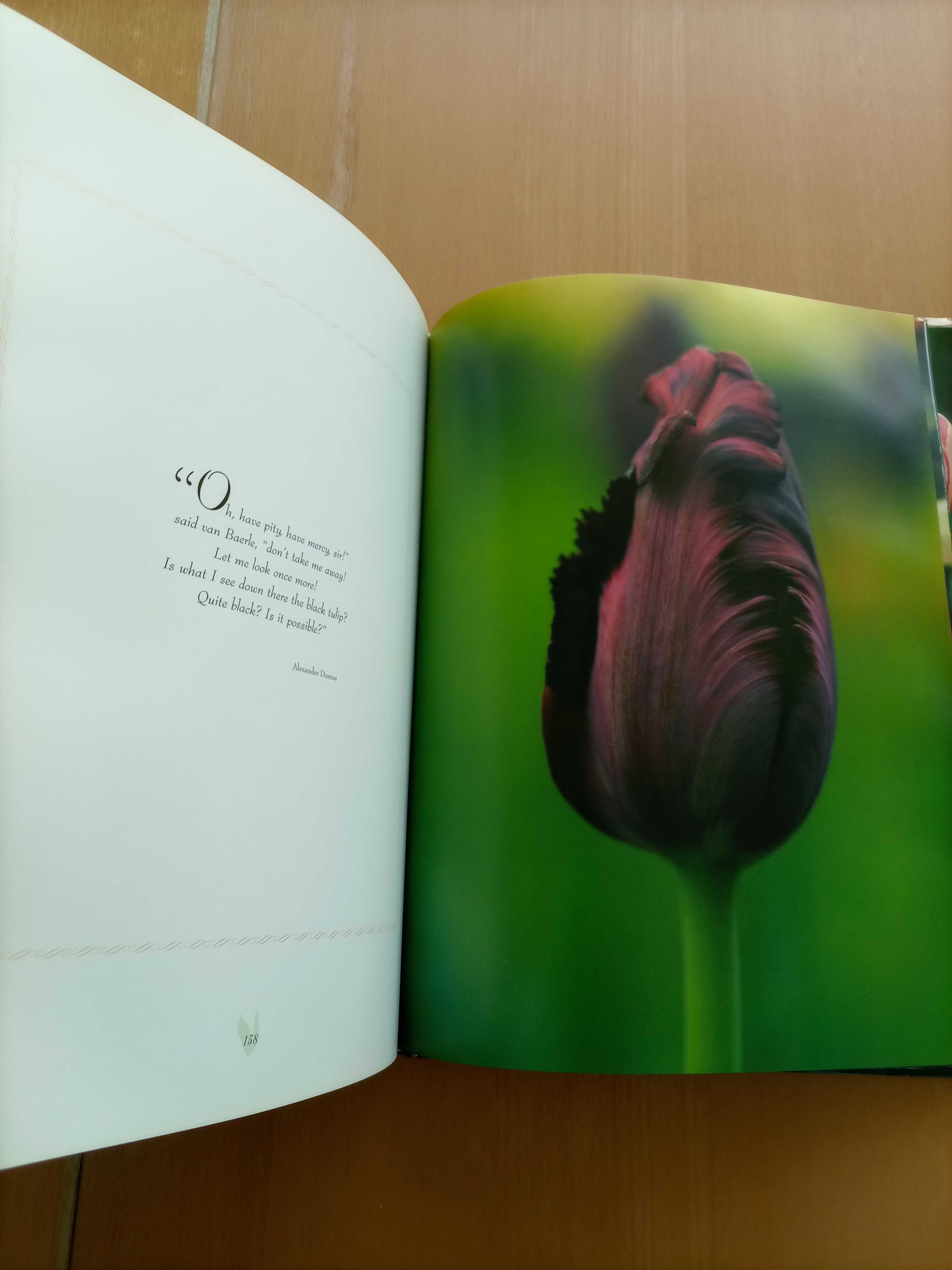 Livro "TULIPS" Coleção de fotos de Tulipas com citações em Inglês