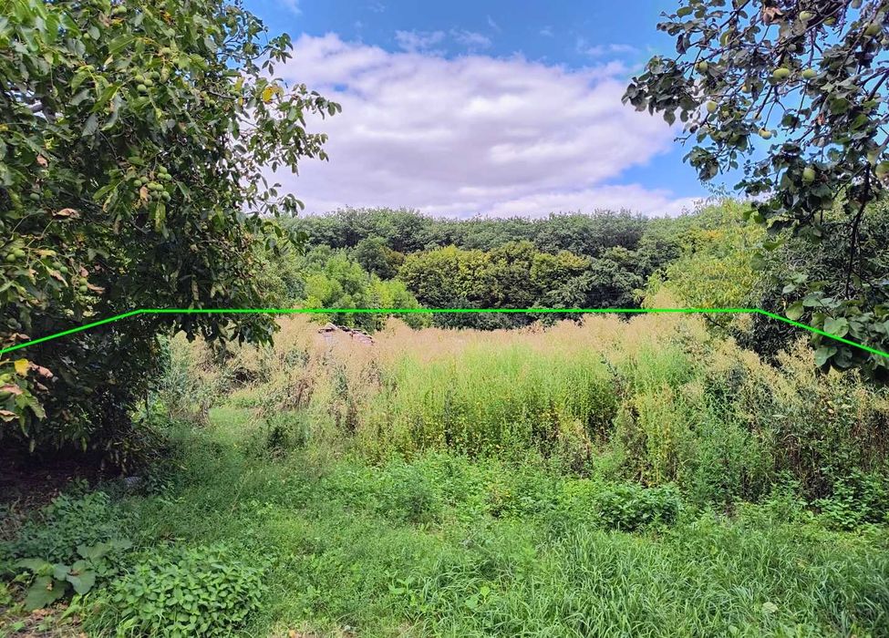 Дім 56 м2 біля самого лісу Собківка 8 км Умань піч меблі 25 соток