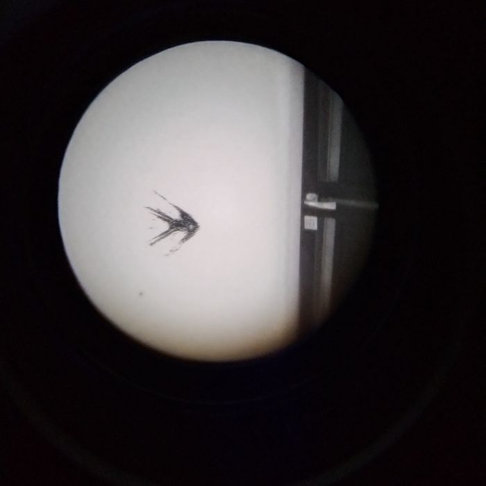 PVS 14, gen3+ white монокуляр білий нічого бачення