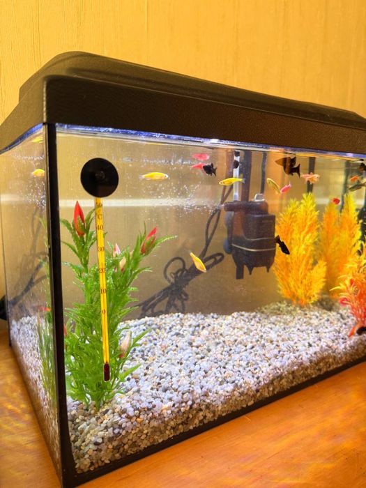 Продам аквариум(комплект)