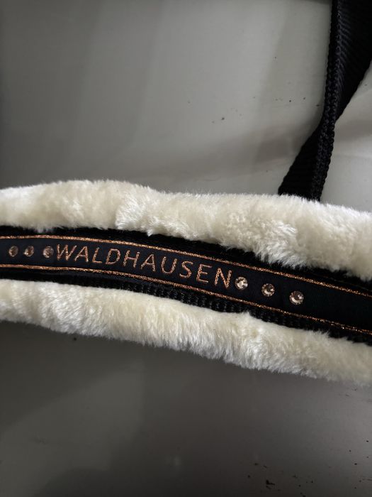 kantar i uwiaz konny