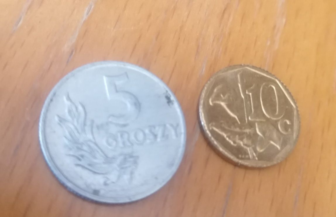 Dwie monety 5 groszy 1949 i 10c Afrika iningizimu