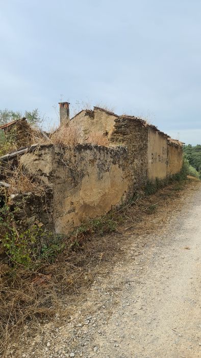 Terreno em valhascos Sardoal