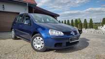 VW Golf V, 1.4 MPI benzyna, 5 drzwi, 2004
