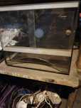Sprzedam terrarium