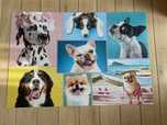 Puzzle trefl 1500 psy