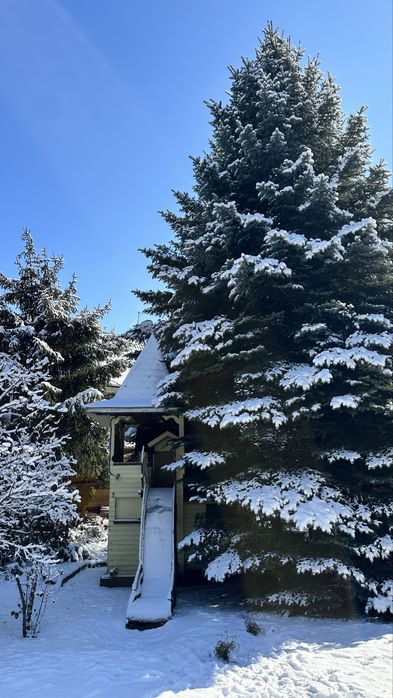 Оренда будинку в лісі із бассейном, чаном і сауною. Без чусідів