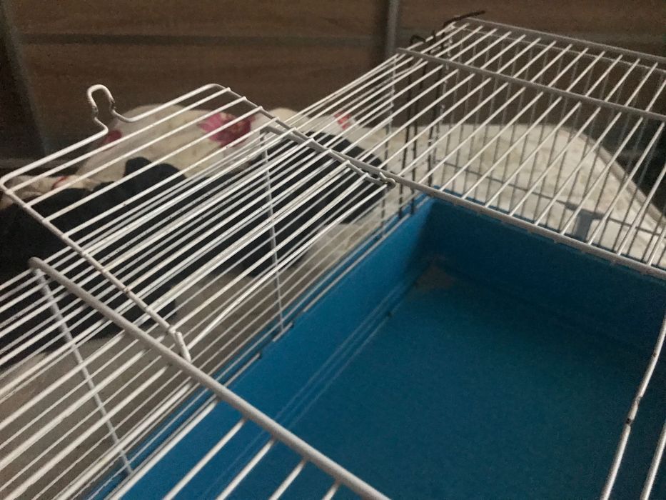 Клітка для гризунів