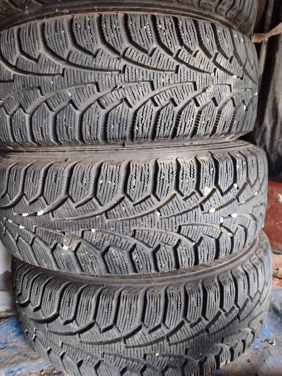 Резина зимняя Nokian 175/70 R13