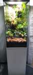 Terrarium, paludarium