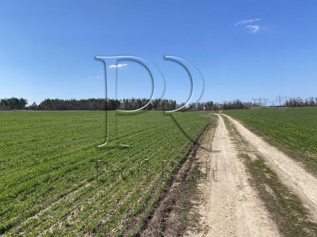 Продаж ділянки 125 соток Хотів