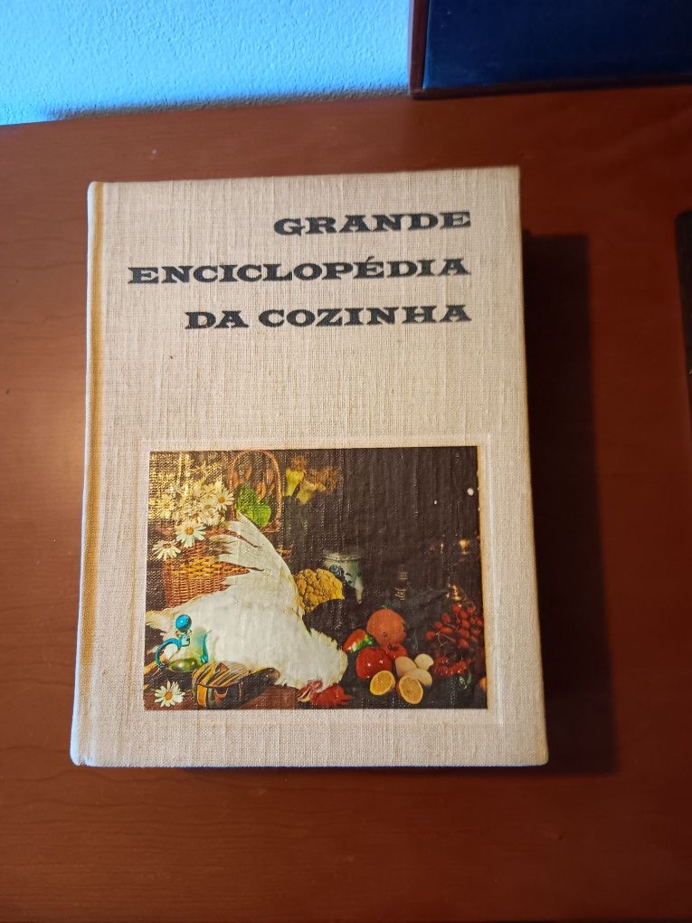 Grande Enciclopédia da Cozinha dois volumes