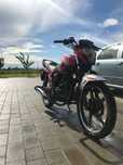 Mustang region mt 150