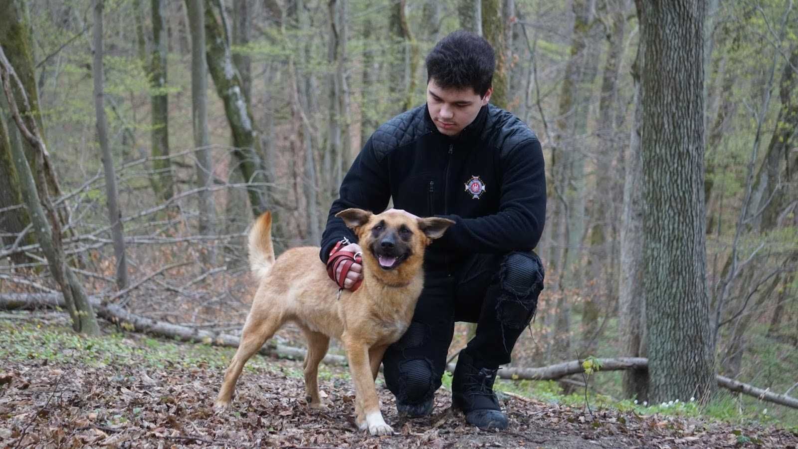 PODRÓŻNIKK - miły, łagodny, wesoły. [FILMIK]