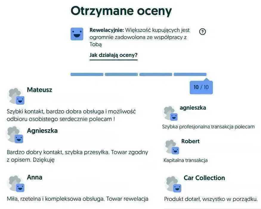 10x SZTUCZNY BLUSZCZ GIRLANDA liście sztuczne na ścianę balkon roślina