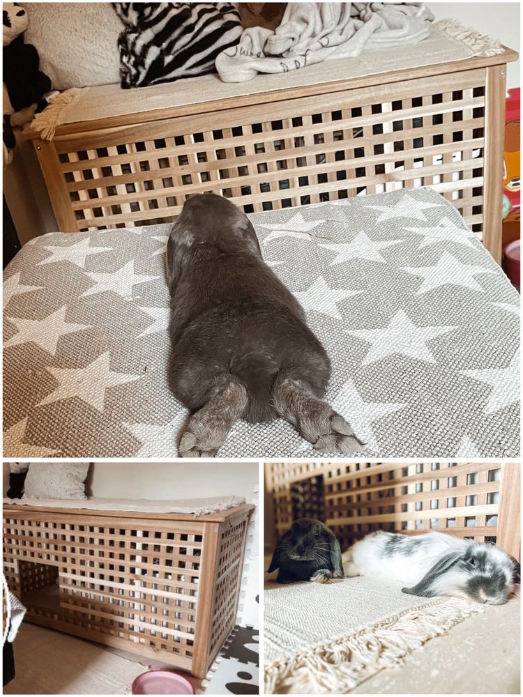 Hol IKEA / klatka domek budka dla królika / kota