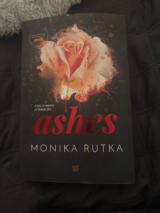 Ashes - Monika Rutka