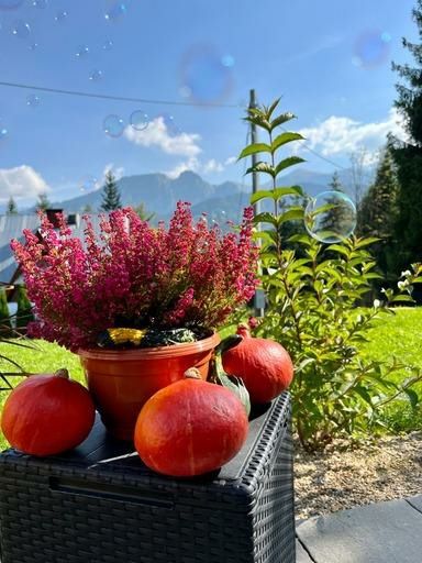 Domek z widokiem na Giewont