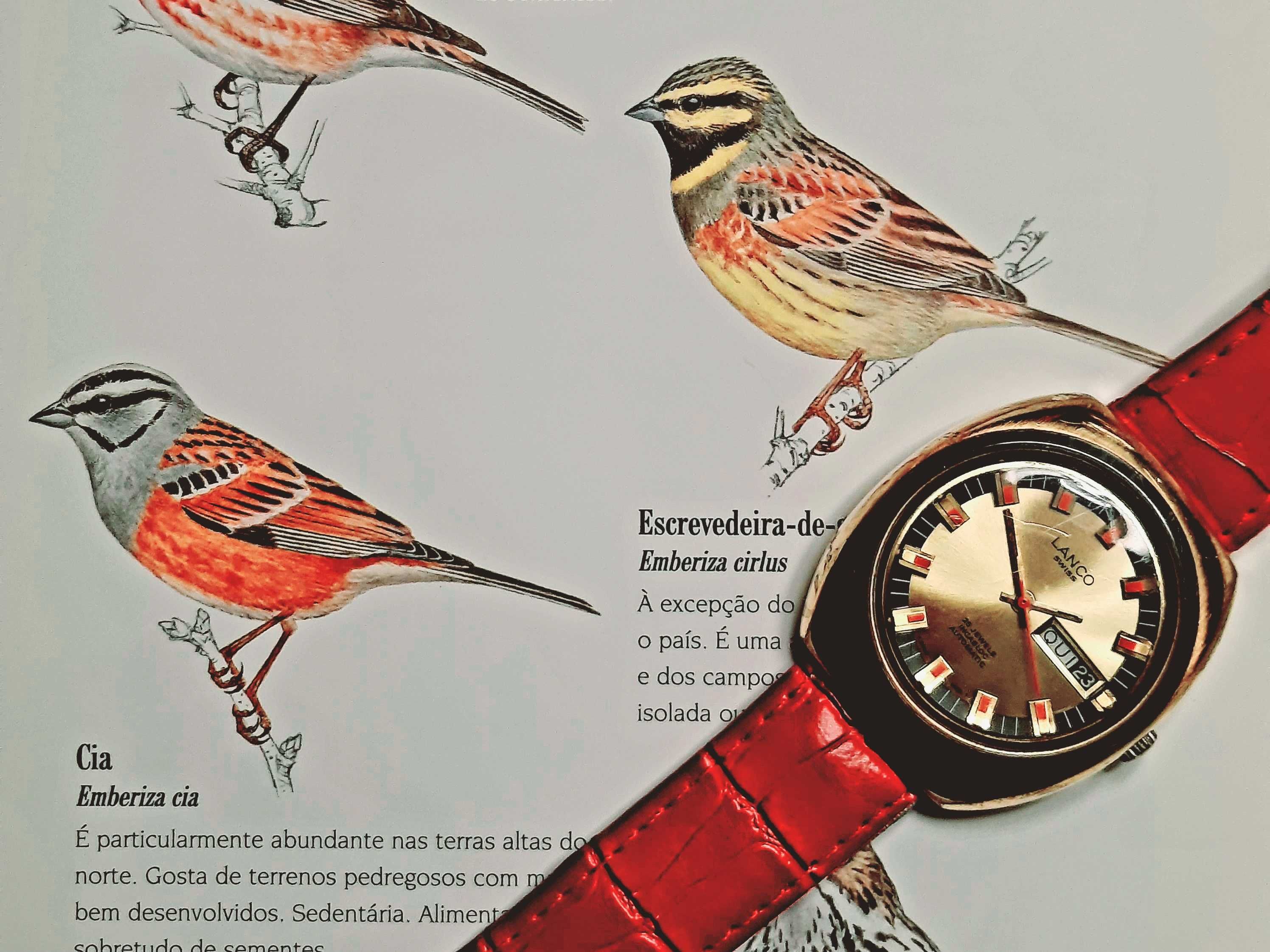 Relógio Lanco automático 36605 (calibre Tissot) plaqueado a ouro.