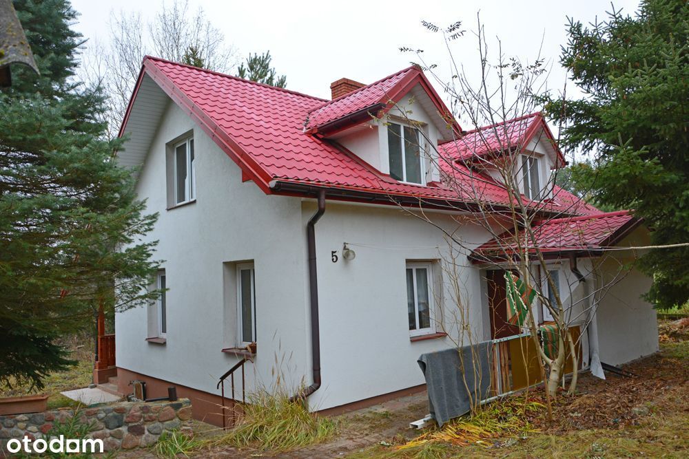 Dom mieszkalny w siedlisku wraz dużym terenem 1,51 ha doskonały dojazd