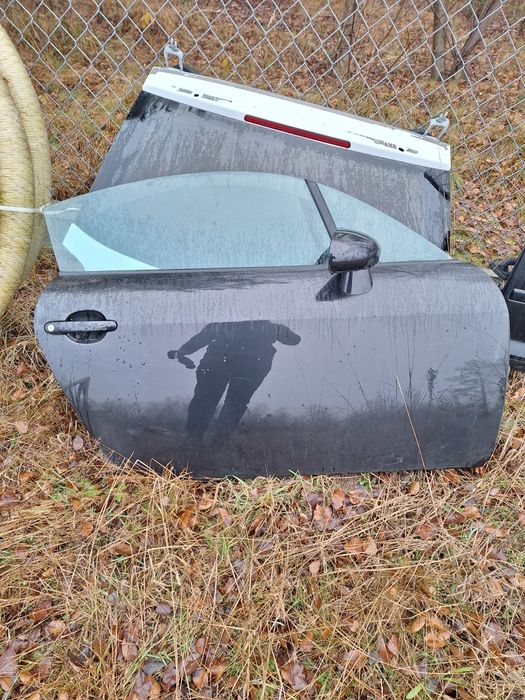 Drzwi lewe prawe audi tt 8n lz9v