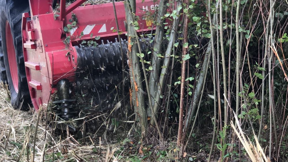 Likwidacja plantacji wierzby , usuwanie  zagajników ze zbiorem biomasy