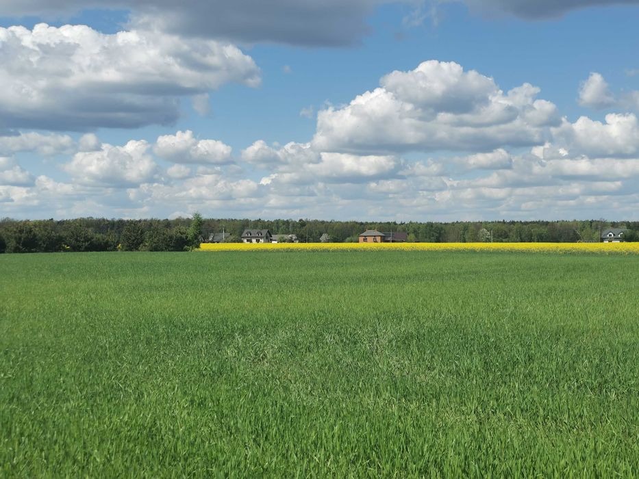 Działka niedaleko Skierniewic