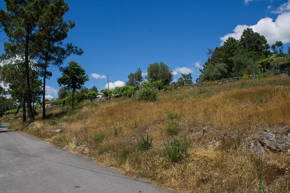 Terreno em Poiares,  
Ponte de Lima -