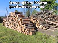 Drzewo drewno opałowe możliwość transportu