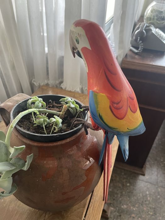 Arara decorativa em madeira