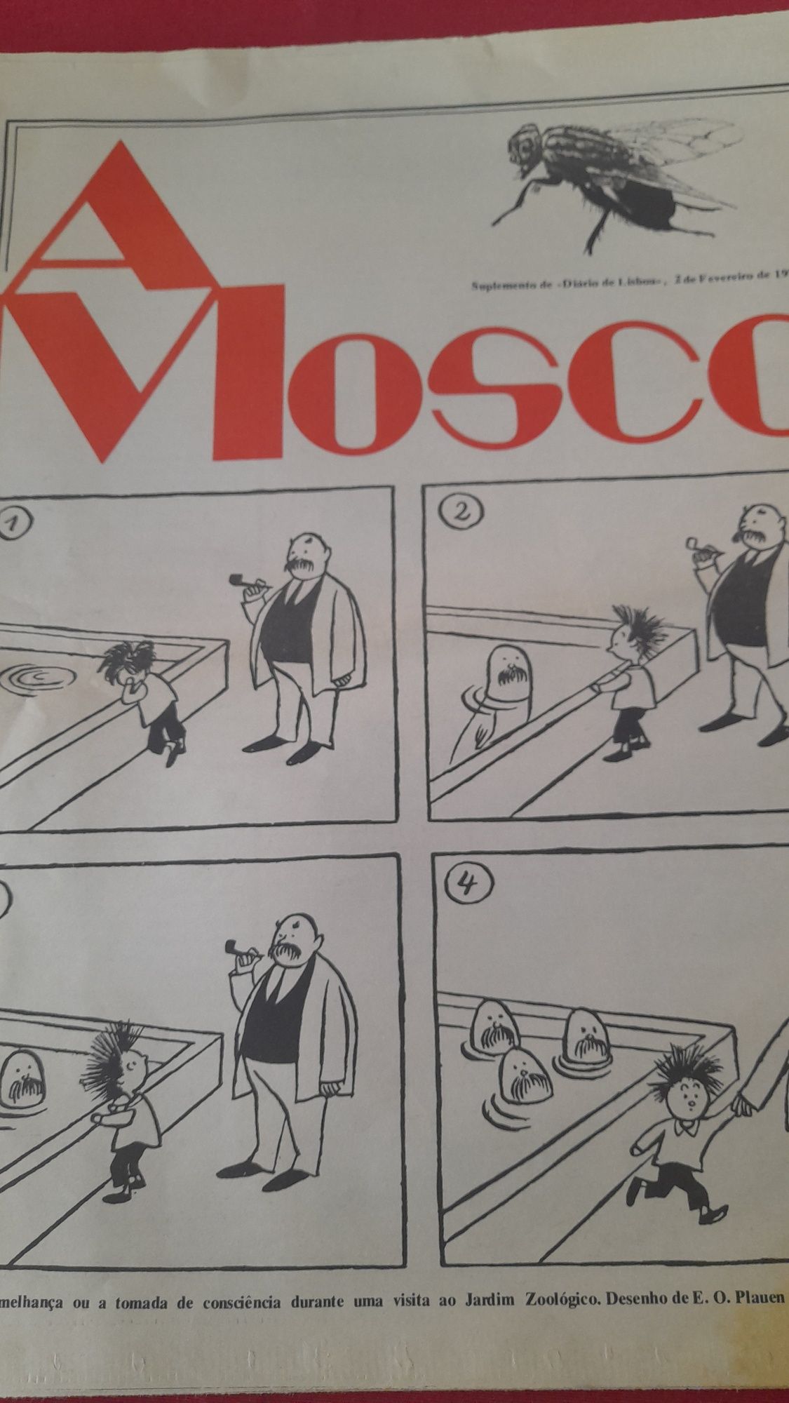 Jornais Antigos A Mosca ( Suplemento D.L.)