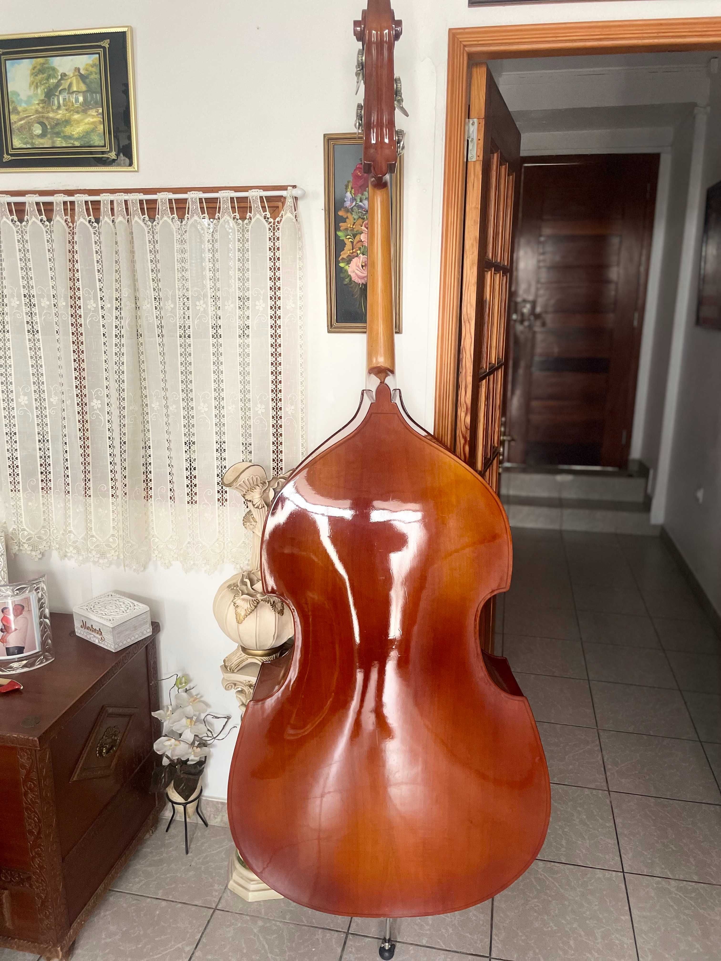 Contrabaixo Dvorak ( Strunal ) , 3/4 + extras ( excelente preco ) .