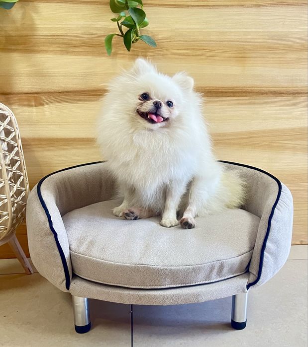 Лежак Лежанка для котів собак диван Люкс велюр