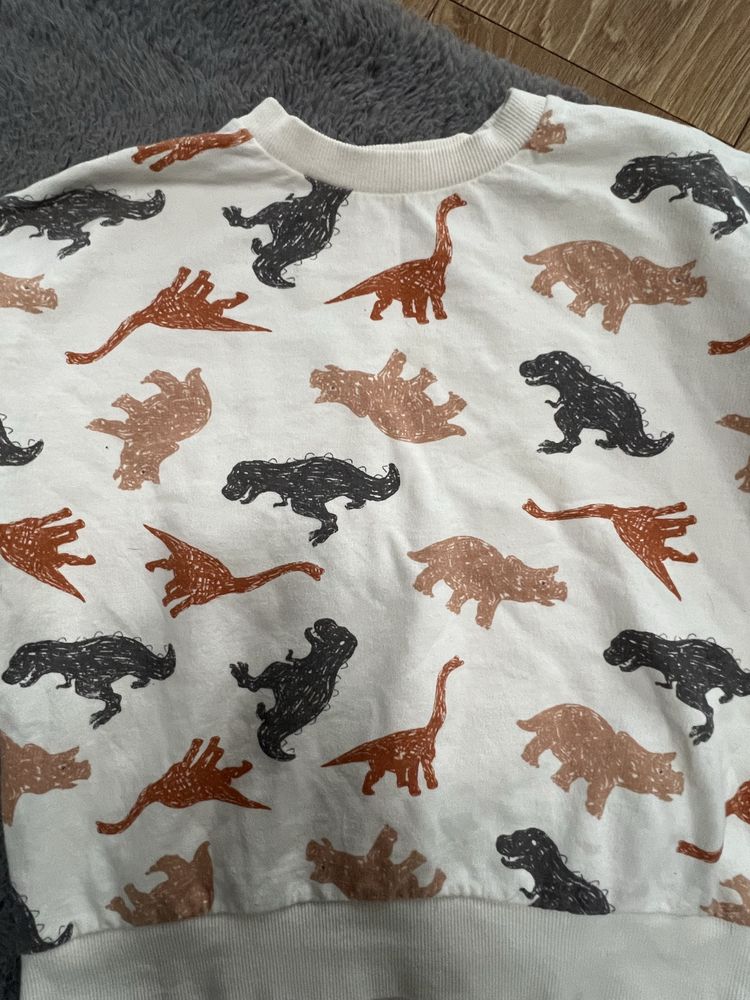 Bluza Sinsay r. 140 dinozaury