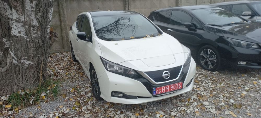 Ниссан       Leaf