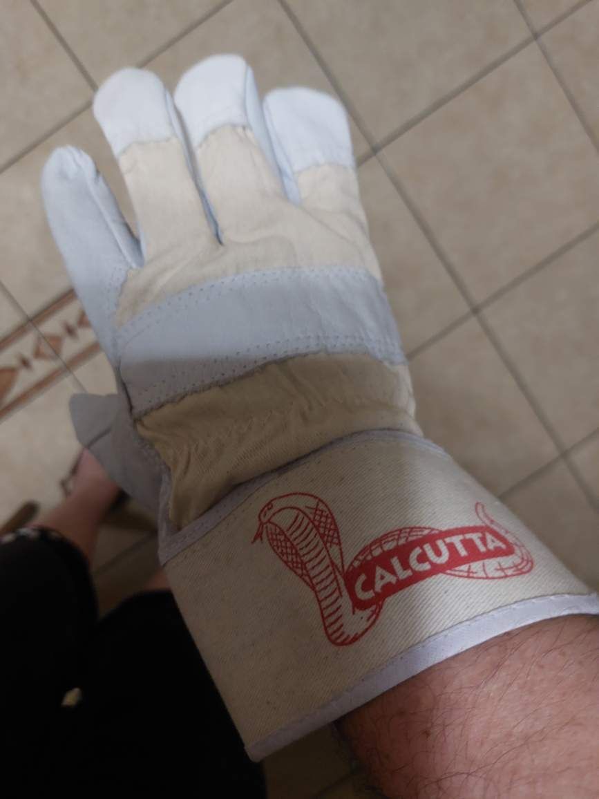 Ŕękawice robocze skórzane [cielęcia skóra]