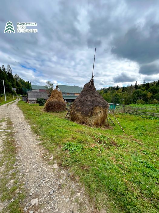 Земельна ділянка в селі Пилипець