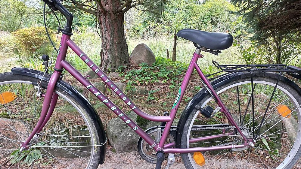 Rower Miejski Damski Express Hirty Eight 3 biegi Torpedo Damka 28