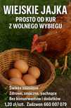 Jajka wiejskie z wolnego wybiegu
