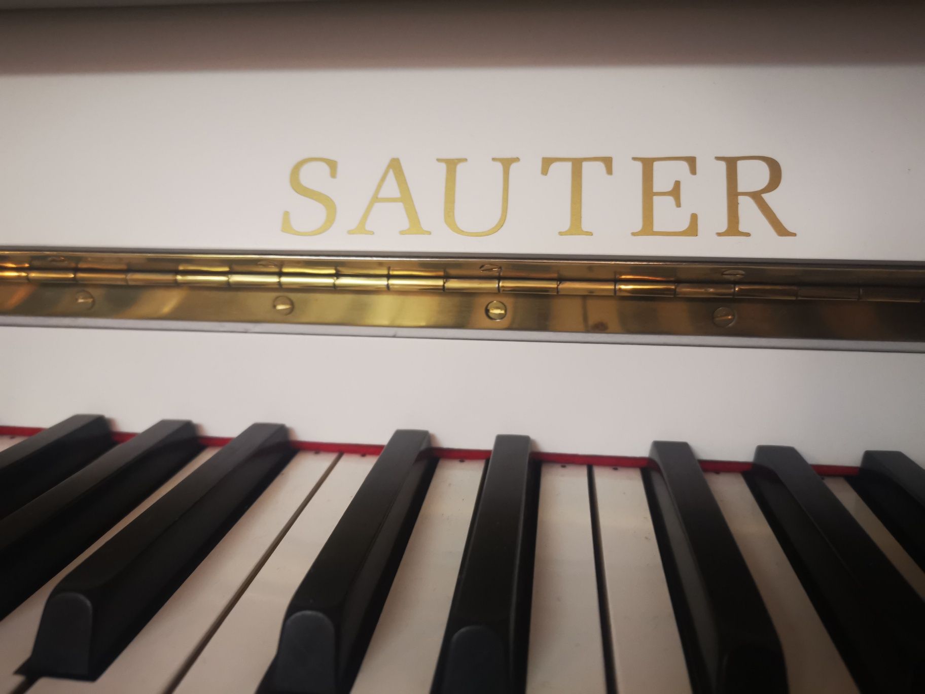 Pianio Carl Sauter